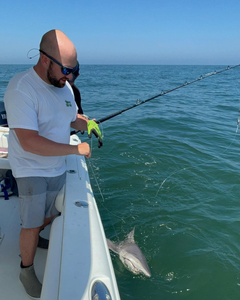 Cast & Catch In Barnegat Light 